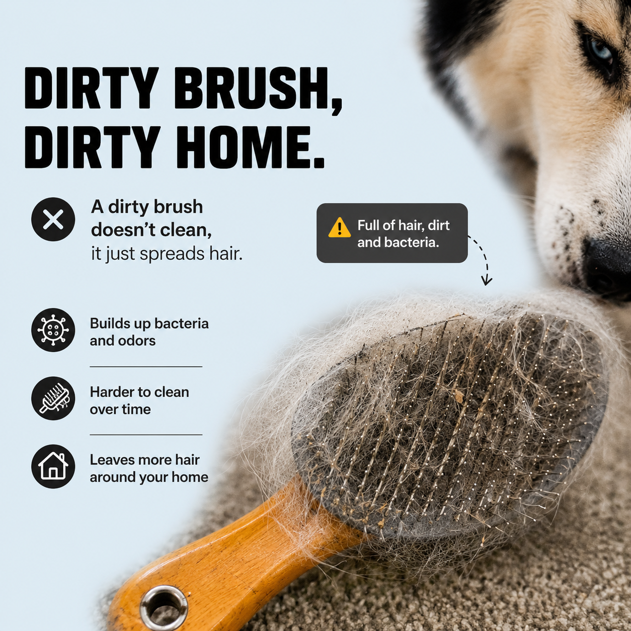 Professional One-Click Pet Hair Removal & Grooming Brush