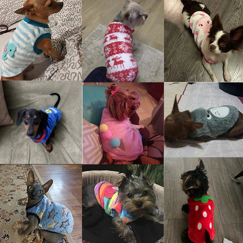 CozyPaws Pet Vest